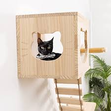 Cat Shelves And Perches Wall Mounted