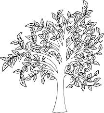 Want to know where to go to see fall in all its finery? Coloring Pages Fall Tree Coloring Pages