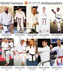 the world s best karate gi