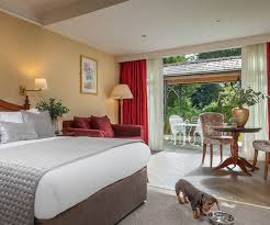 pet friendly hotels galway