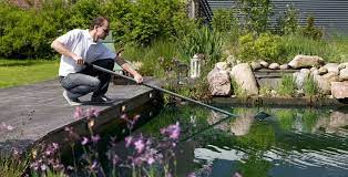 Seasonal Goldfish Pond Care And Maintenance