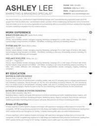cv layout download   thevictorianparlor co webdesign   com Cv Layout Gov Compiling a curriculum vitae south african government Curriculum  vitae example format Free cv