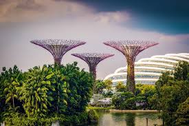 Singapore S Gardens By The Bay Green