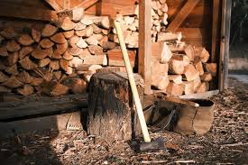 Best Firewood For Your Fireplace