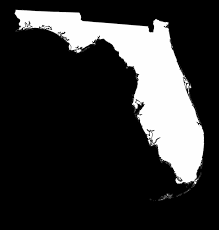 Filing for bankruptcy in florida state is a serious decision, but the process although lengthy is very simple. Chapter 13 Bankruptcy Florida 8 Things To Know