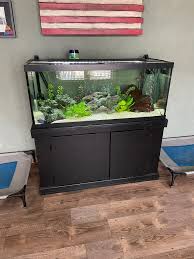 75 gallon fish tank and stand