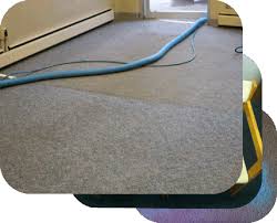 mckay s carpet cleaning home