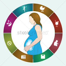 Maternity Elements Chart Vector Image 1959203 Stockunlimited