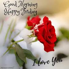 In today's article, i have come here to provides you the best all friday good morning images are freely available for you and you can easily download these images. 110 Beautiful Good Morning Wishes For Friday Best Images