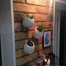 modern wall hanging planter paint your