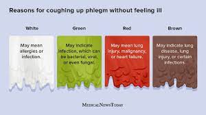 coughing up phlegm but not sick causes