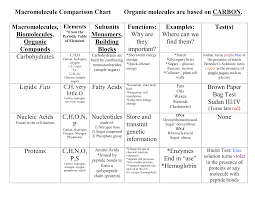 Macromolecule Comparison Chart Organic