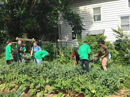 Rochester Policy Lets Community Gardens