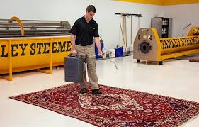 stanley steemer carpet carpet