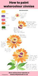 Paint Zinnia Flowers In Watercolour