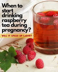 start drinking raspberry leaf tea