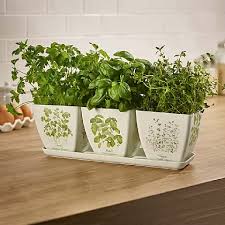Planters Supports Garden