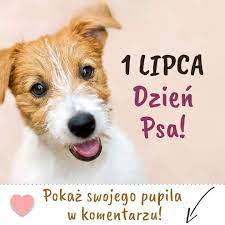 Międzynarodowy dzień psa 26 sierpnia „ pozdrawiamy wszystkie psy na całym świecie. 1 Lipca Swiatowy Dzien Psa Sklep Zoologiczny Reksio Facebook
