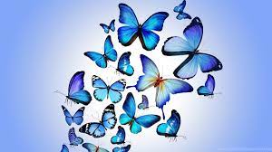 HD Purple Animated Butterfly Wallpapers ...