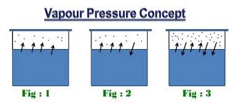 Vapour Pressure Of Water Water Vapour Pressure Temperature