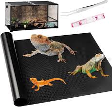 bearded dragon substrate reptile