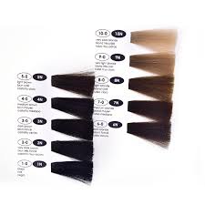 Oem Odm Customized Different Shades Shape Asian Hair Color Chart Buy Asian Hair Color Chart Different Shape Asian Hair Color Chart Customized