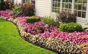 How To Organize Landscaping Borders