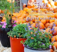 Fall Planter Ideas With Proven Winners
