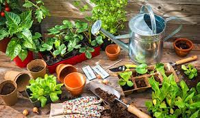 Build Your Own Indoor Herb Garden