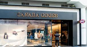 canada goose stock nyse goos recent