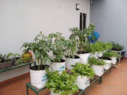 plant grow bags types uses for
