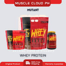 muscle building whey protein powder mix