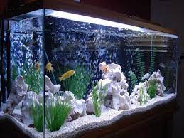 Fish Tank Decorations