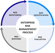 enterprise risk management process nexi