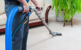 carpet cleaning s cost of carpet