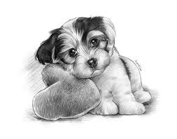 Pencil drawings of dog and puppies from your photos for sale. Pet Sketch Dog Sketch Hand Drawn From A Photo By Talented Artists