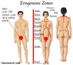 31 Best Erogenous Zones Images Female Erogenous Zones