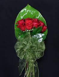 HA-3 Pucha de rosas Bella Flor Inc