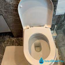 Baron Toilet Bowl Seat Replacement In