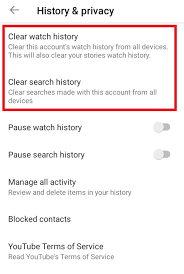 how to clear your you history a
