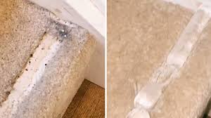ice hack to fix carpet dents