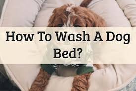 how to wash and clean a dog bed 2021
