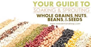 Your Guide To Soaking Sprouting Whole Grains Beans Nuts