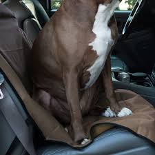 Solid Bucket Seat Cover Majestic Pet