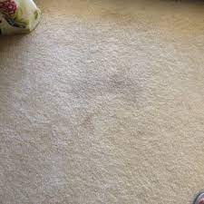 adelman carpet furniture cleaning