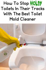 cleaning mold toilet cleaning s