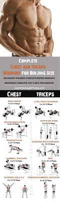 complete chest and triceps workout for