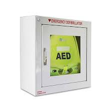 aed plus standard size cabinet with audible alarm