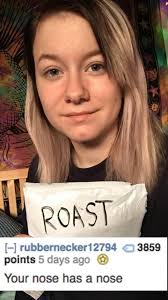 See more ideas about funny roasts, roast me, reddit roast. 37 People Who Are Probably Regretting Their Roast Me Requests