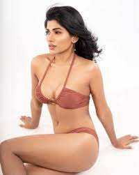 Akshaya Shetty's seductive brown bikini pictures - The Live Nagpur